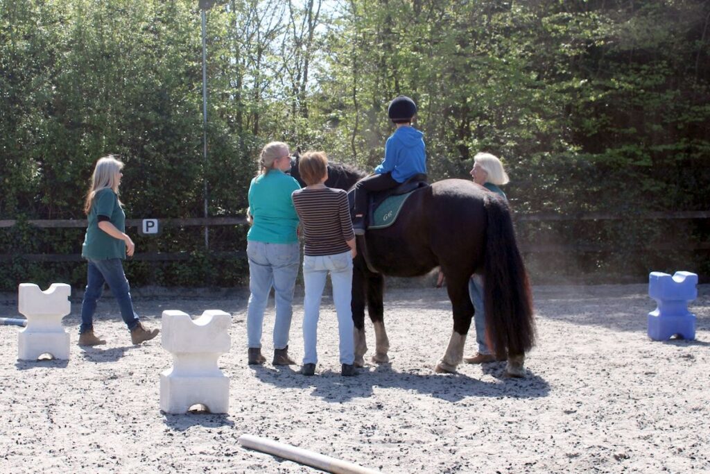 Riding Lessons with new students