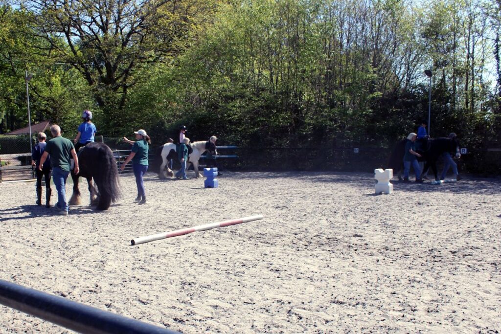 Riding Lessons with new students
